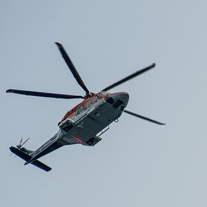 20200615_080325_nf.jpg