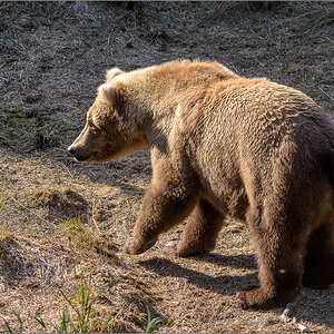 Alaska_2018-2242.jpg
