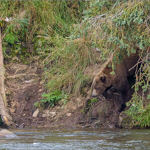 Alaska_2018-2875.jpg