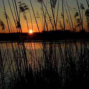 PVO_4783_00001_01.jpg