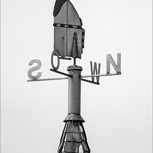 OF5_02246sw.jpg