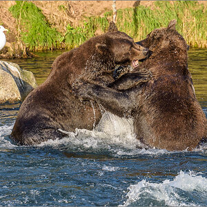 Alaska_2018-2772.jpg