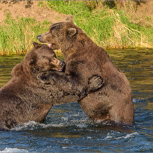Alaska_2018-2769.jpg