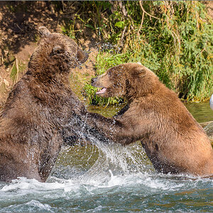 Alaska_2018-2209.jpg