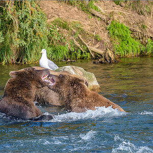 Alaska_2018-2199.jpg