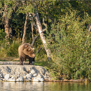 Alaska_2018-2335.jpg