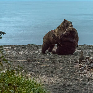Alaska_2018-2971-Bearbeitet.jpg