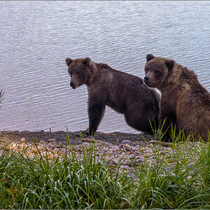 Alaska_2018-2382.jpg