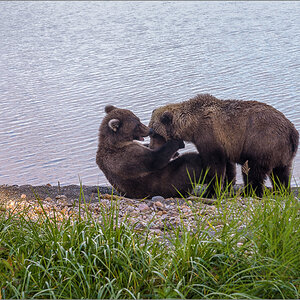 Alaska_2018-2379.jpg