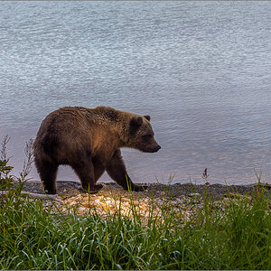 Alaska_2018-2371.jpg