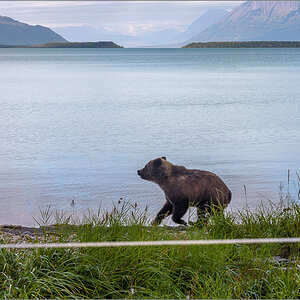 Alaska_2018-2369.jpg