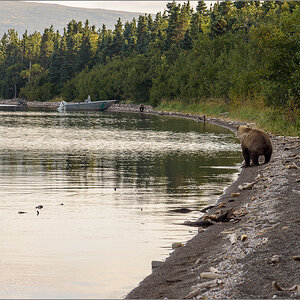 Alaska_2018-2368.jpg