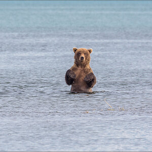 Alaska_2018-2896.jpg