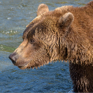 Alaska_2018-2481.jpg