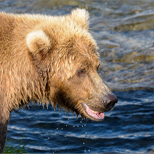 Alaska_2018-2233.jpg