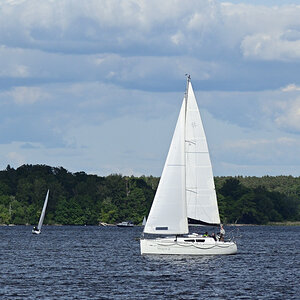 DSC_9775.JPG