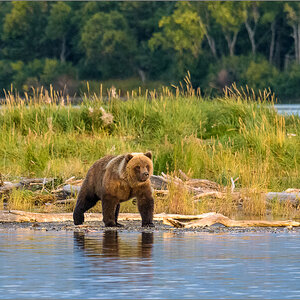Alaska_2018-2809.jpg