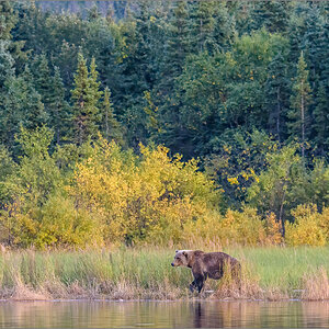 Alaska_2018-2805-Bearbeitet.jpg