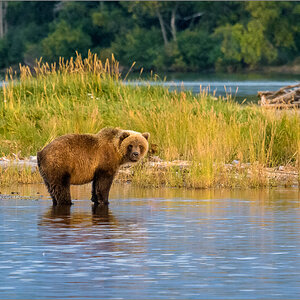 Alaska_2018-2804.jpg