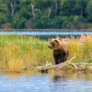 Alaska_2018-2788.jpg