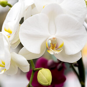 20200616-013.jpg