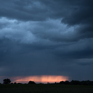 NF_DSC_5275.jpg