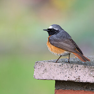 OF5_00294.jpg