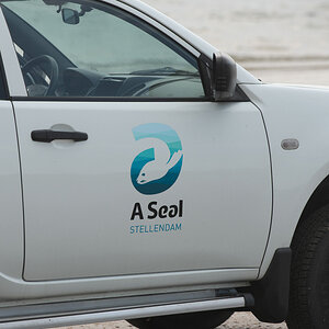 A Seal 20200617 Beestenbrigade-001.jpg