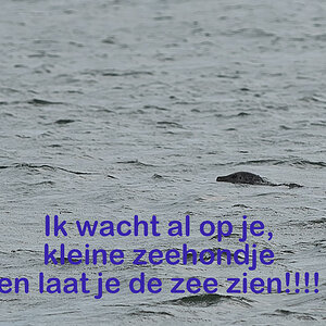 Ouddorp 20200617 (5).jpg