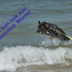 Ouddorp 20200619 (149).jpg