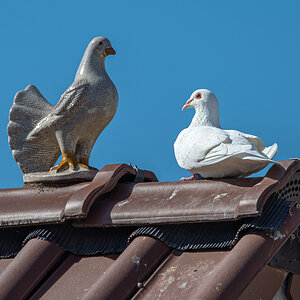 OF5_01231.jpg