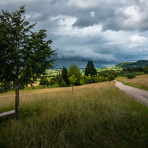 DSC00818-1.jpg
