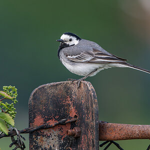 OF5_02182.jpg