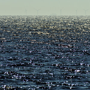 20200624_112347_nf.jpg