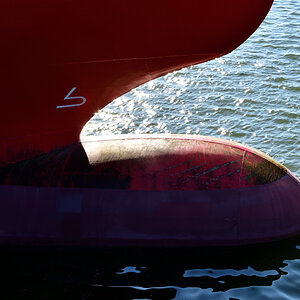 20200625_080536_nf.jpg