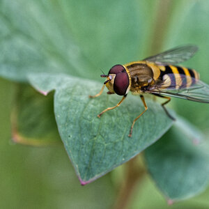 Z50_1290_DxO.jpg