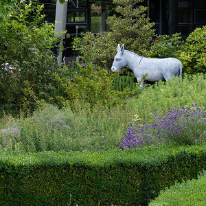 Z50_1300_DxO.jpg