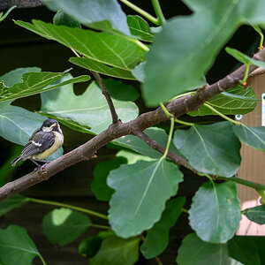 20200627-DSC05540-2.jpg