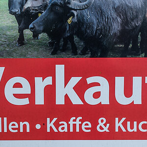 Bohnenkaffe (1 von 1).JPG