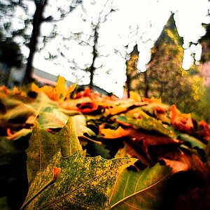 2008 11 11 Weitwinkelstadt Sigma14 35 D7C 5399 ps