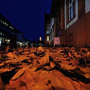 2008 11 11 Weitwinkelstadt Sigma14 35 D7C 5427 ps