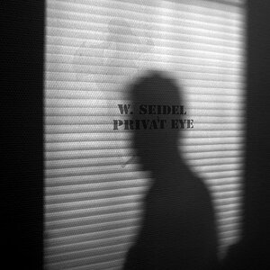 Private Investigations by Dire Straits