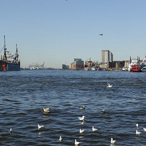 HH Hafen 08200