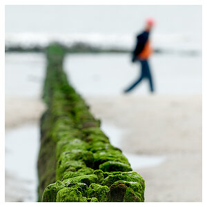 Buhne am Nordstrand auf Norderney