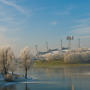 Winter im Park