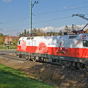polen