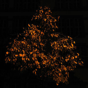 Nachtstueck 01