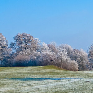 Winter im Park