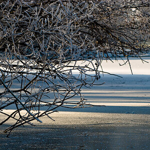 Winter im Park