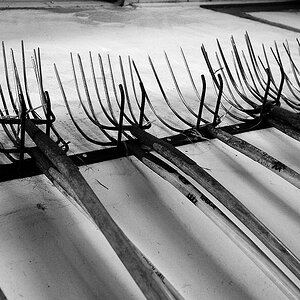 Kopie von D30 0720bw